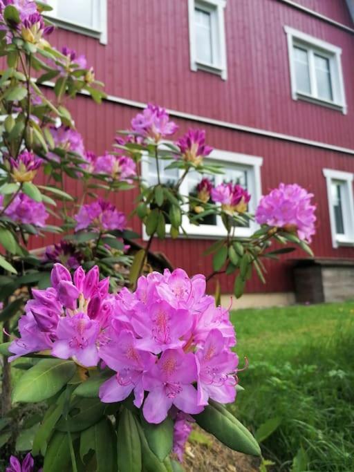 Haus Gruenfels Apartment Murau Dış mekan fotoğraf