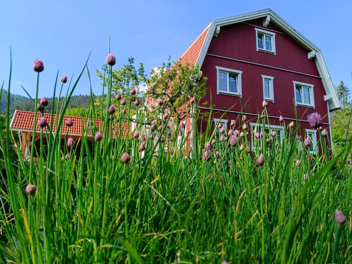 Haus Gruenfels Apartment Murau Dış mekan fotoğraf