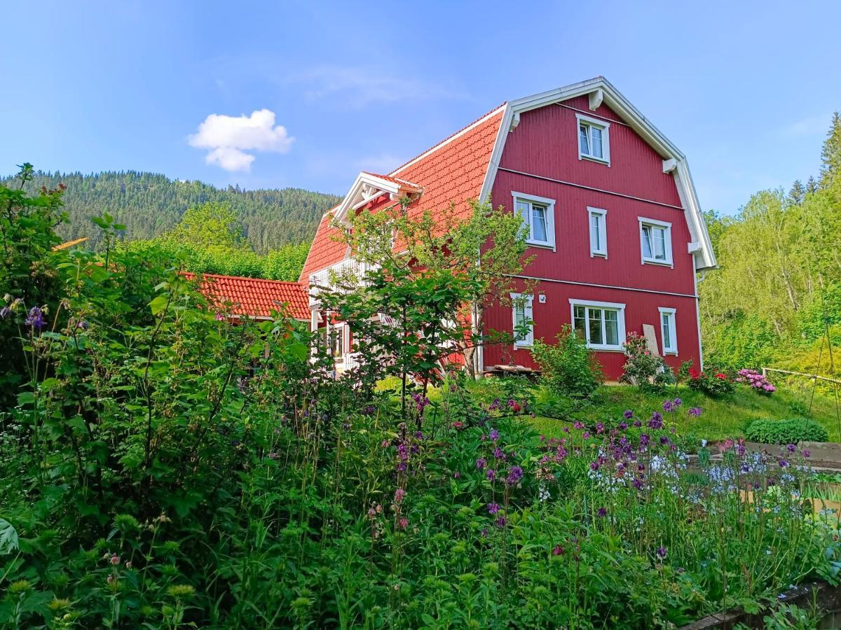 Haus Gruenfels Apartment Murau Dış mekan fotoğraf