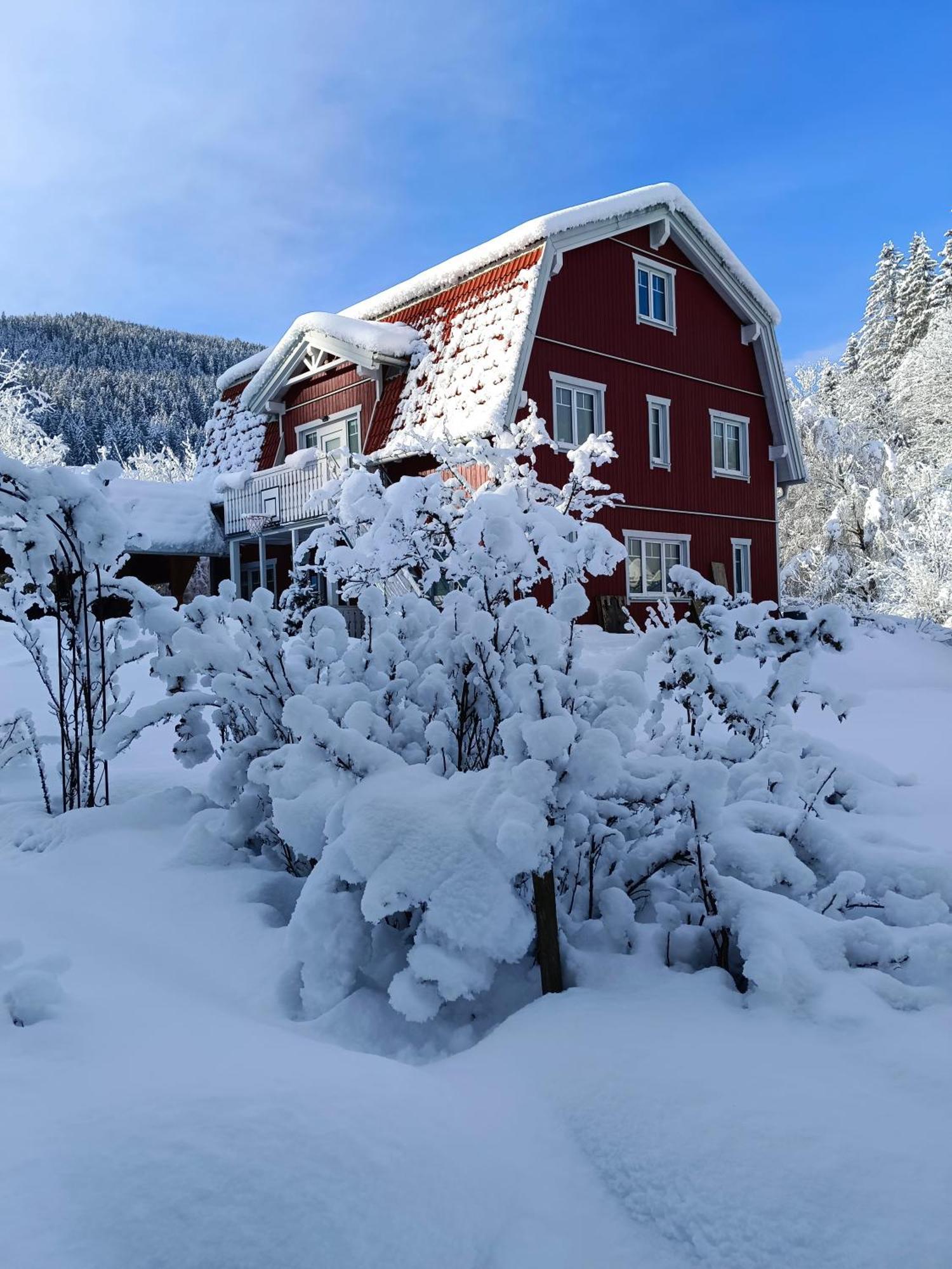 Haus Gruenfels Apartment Murau Dış mekan fotoğraf